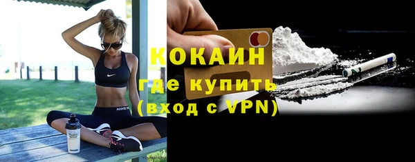 дживик Шадринск