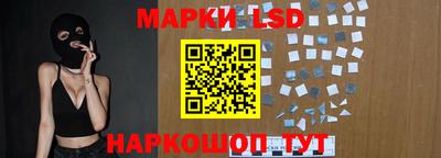 гидра Будённовск