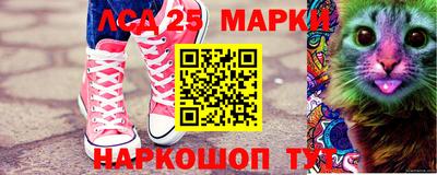 гидра Будённовск