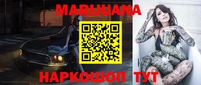 гидра Будённовск