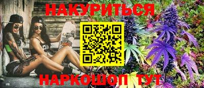 гидра Будённовск