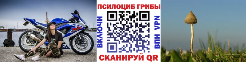 Галлюциногенные грибы мицелий  Железногорск 