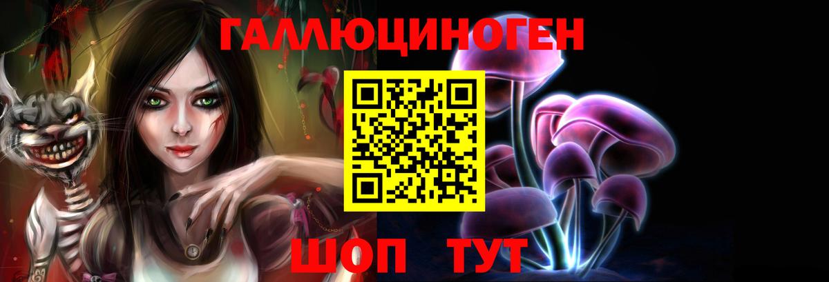 Железногорск  Псилоцибиновые грибы прущие грибы  Вход с VPN 